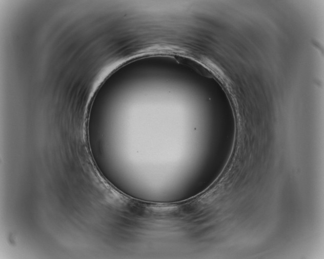 X0000096681296200802051237
