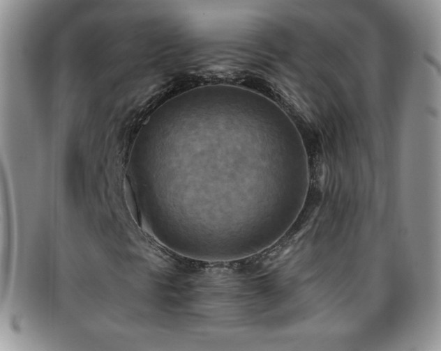 X0000096681297200802051236