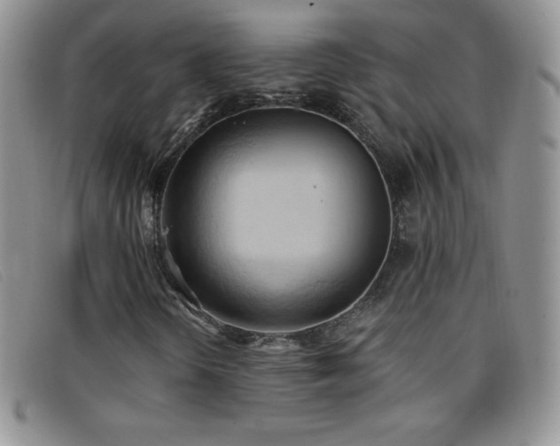 X0000096681298200802051237