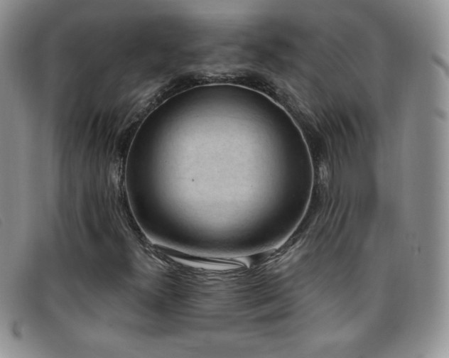 X0000096681300200802051237
