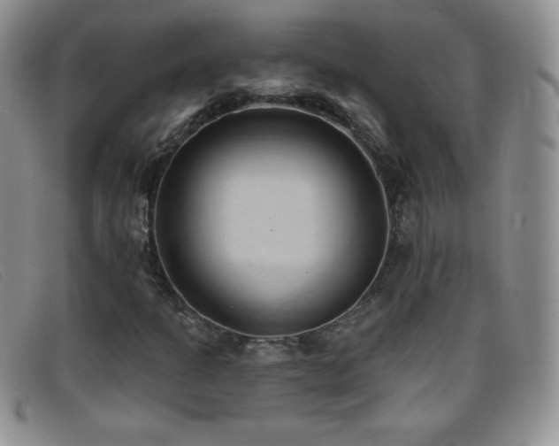 X0000096681301200802051237