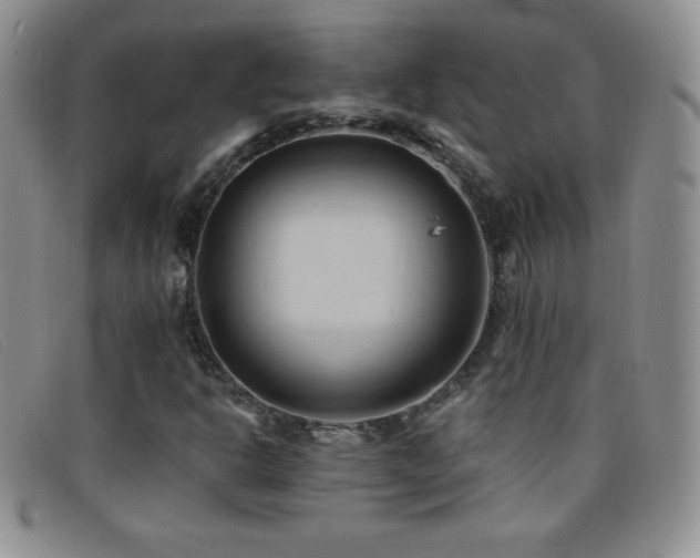 X0000096681302200802051237