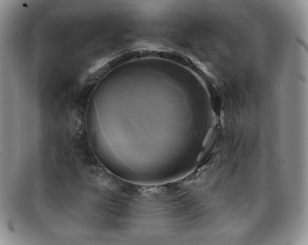 X0000096681303200802051237
