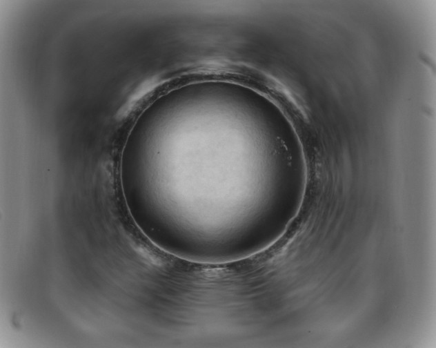 X0000096681304200802051237