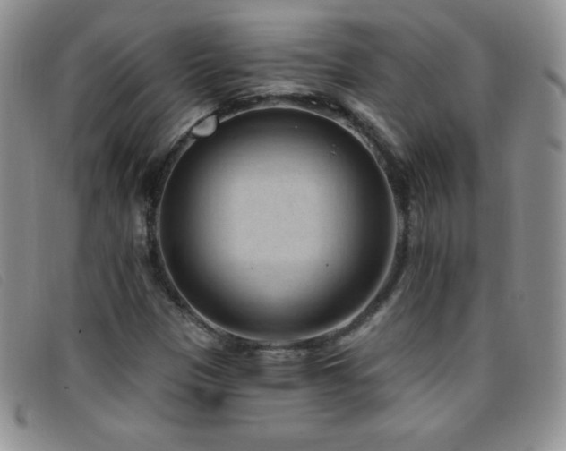 X0000096681305200802051237