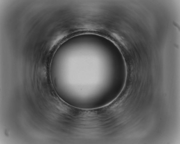X0000096681307200802051237