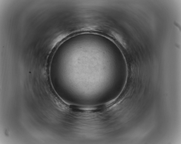 X0000096681308200802051237