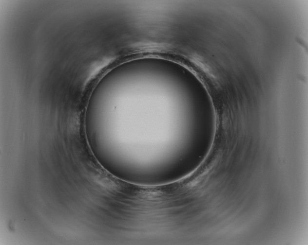 X0000096681309200802051237