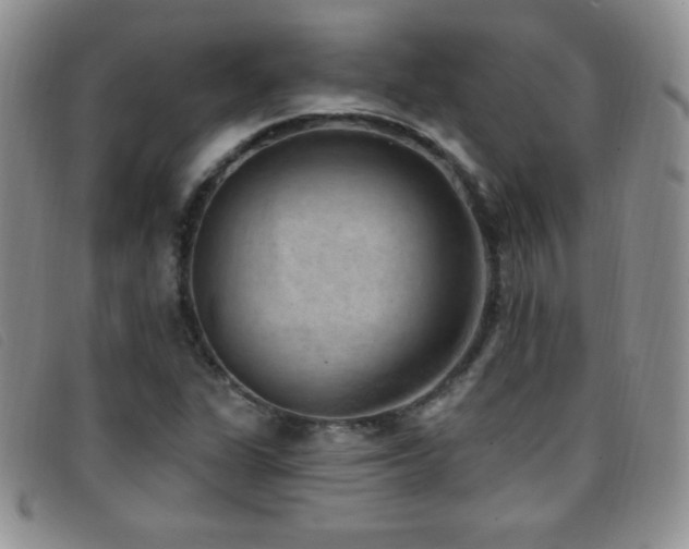 X0000096681311200802051237