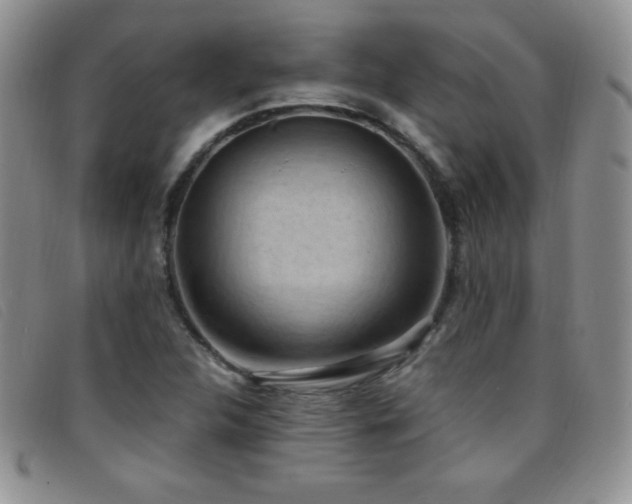 X0000096681312200802051237