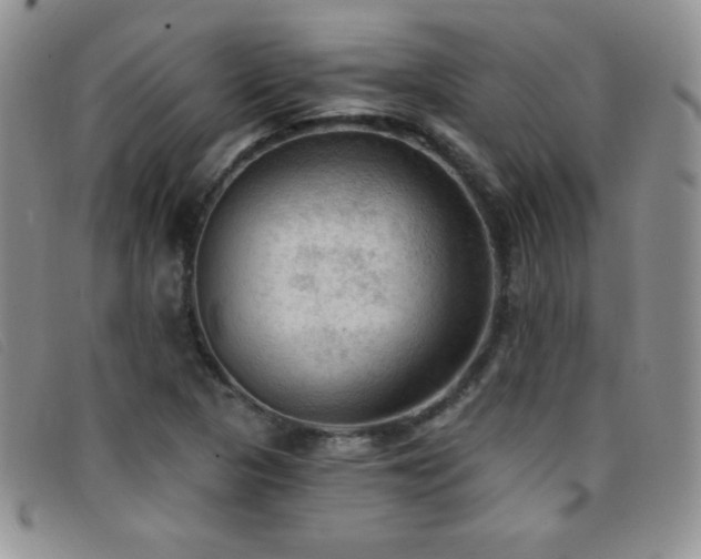 X0000096681313200802051237