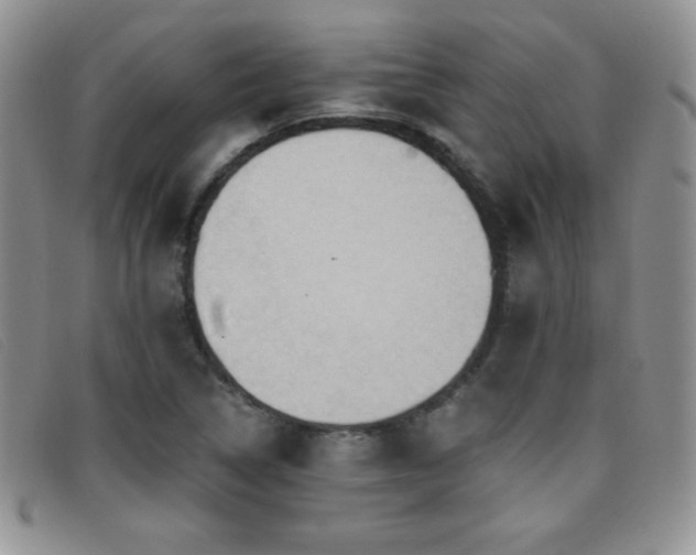X0000096681314200802051237