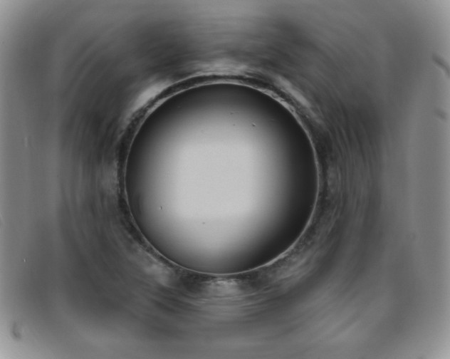 X0000096681315200802051237