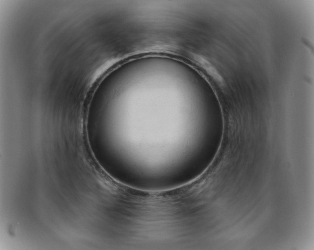 X0000096681316200802051237