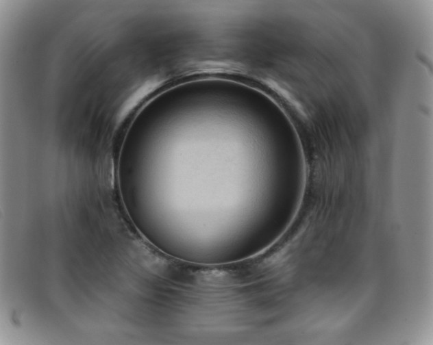 X0000096681317200802051237