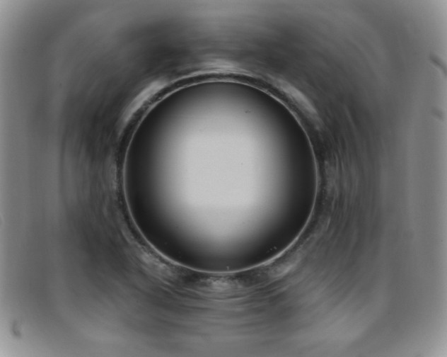 X0000096681318200802051237
