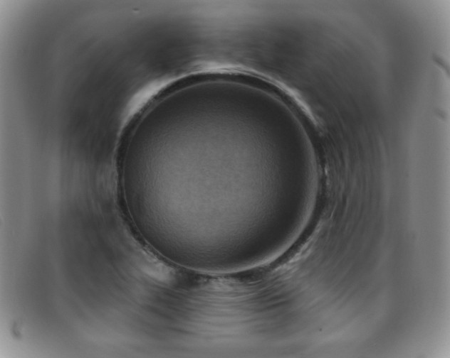 X0000096681319200802051237