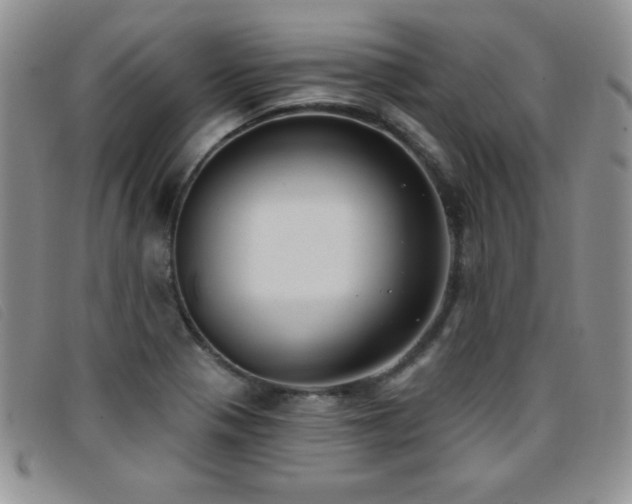 X0000096681321200802051237