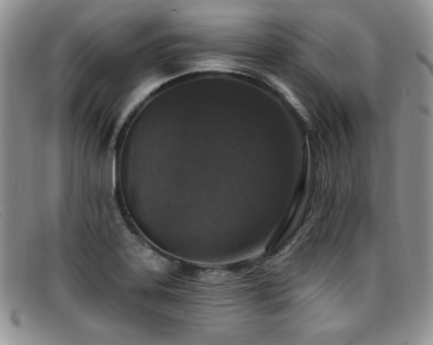 X0000096681323200802051237