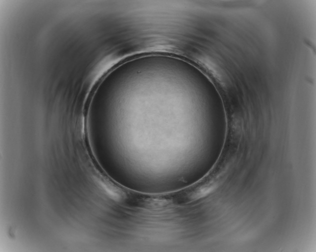 X0000096681324200802051237