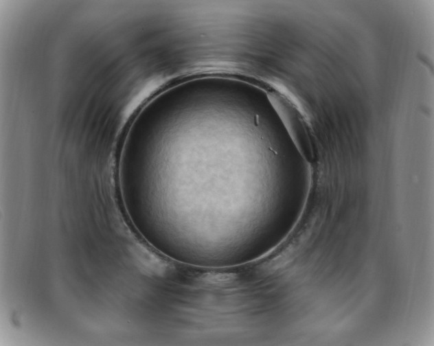 X0000096681325200802051237