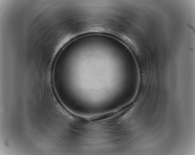 X0000096681326200802051237