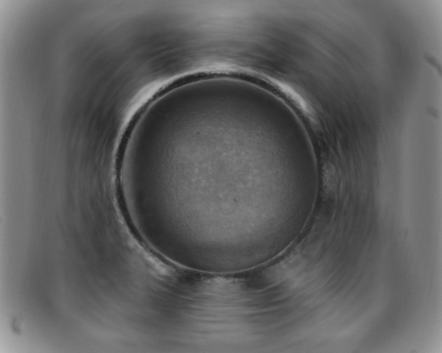 X0000096681327200802051237