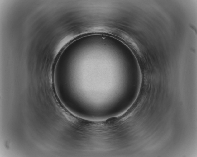 X0000096681328200802051237