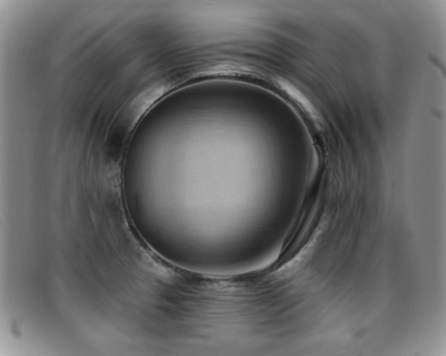 X0000096681329200802051237