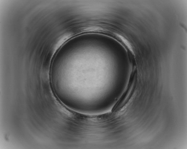 X0000096681330200802051237