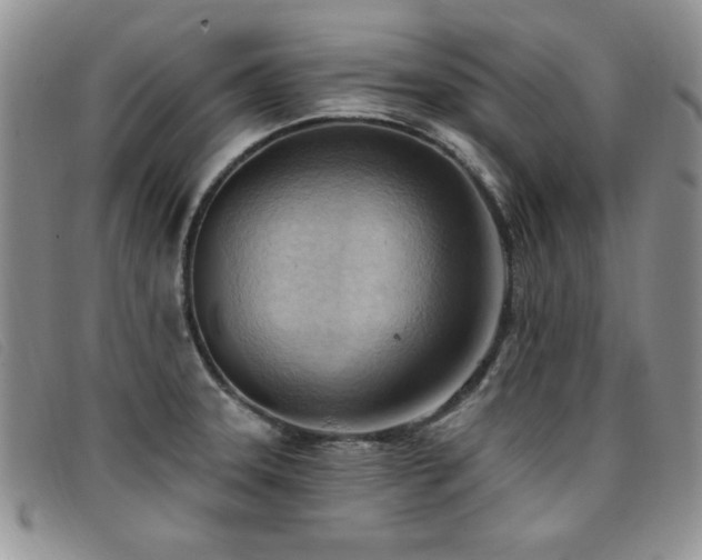 X0000096681331200802051237