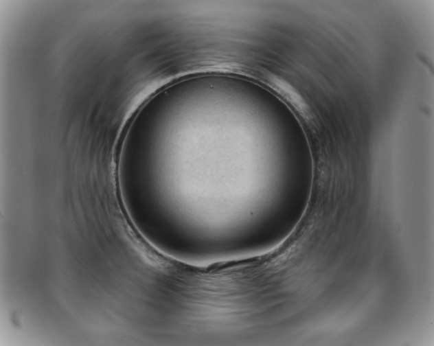 X0000096681332200802051237