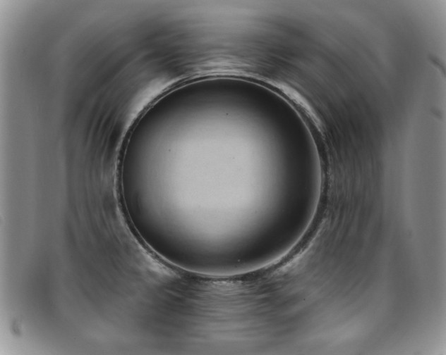 X0000096681333200802051237