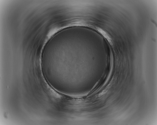 X0000096681334200802051237