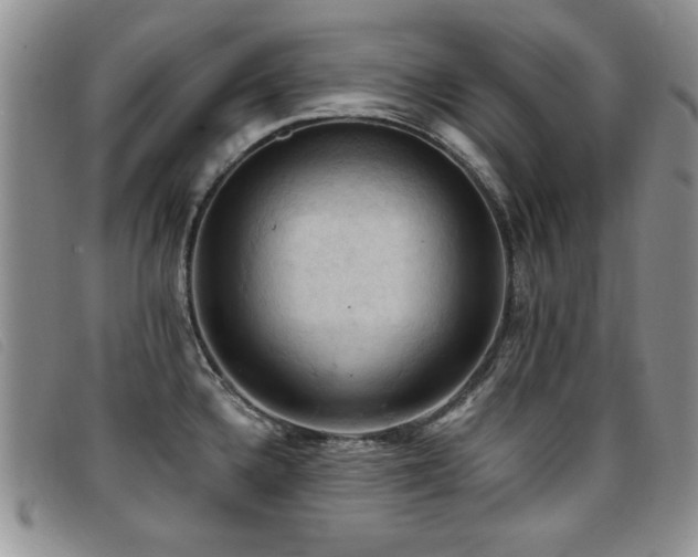 X0000096681336200802051237