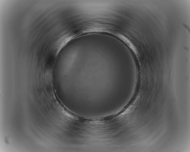 X0000096681337200802051237