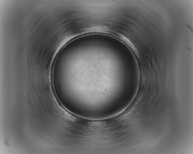 X0000096681339200802051237