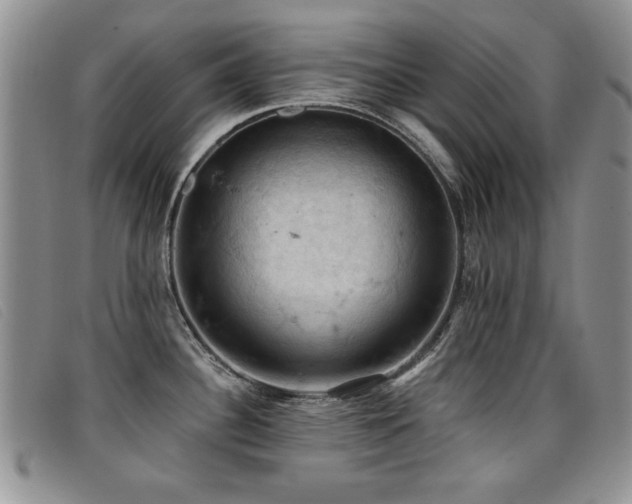 X0000096681340200802051237