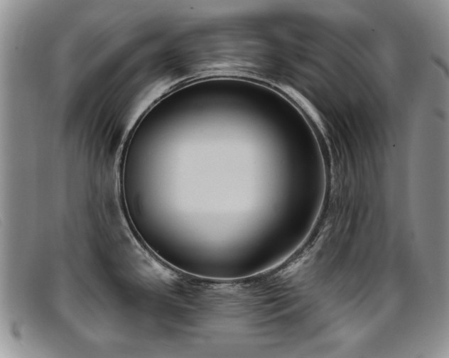 X0000096681341200802051237
