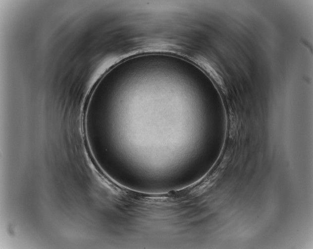 X0000096681342200802051237