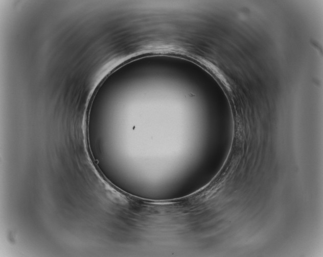 X0000096681343200802051237