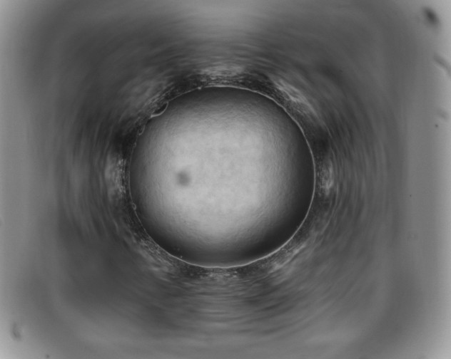 X0000096681346200802051236