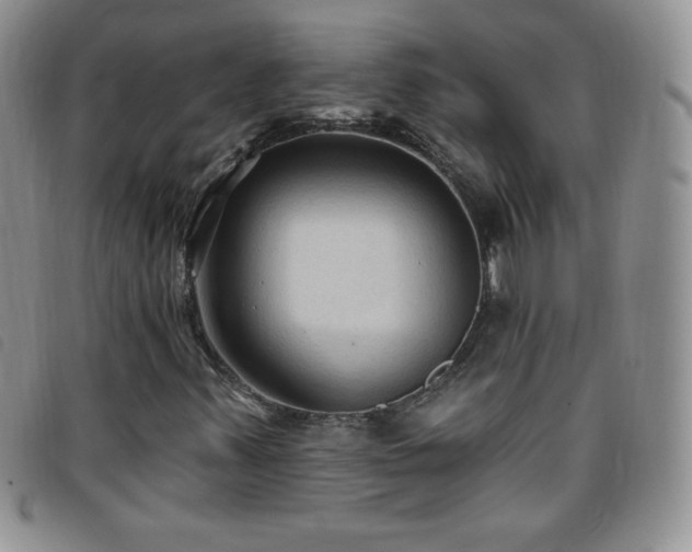 X0000096681347200802051236