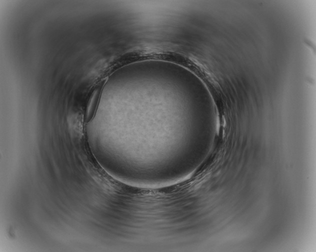 X0000096681348200802051236