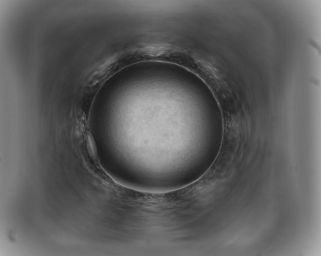 X0000096681349200802051236