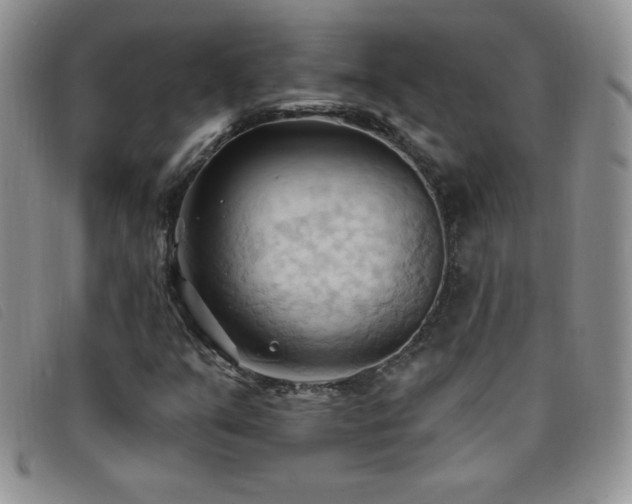 X0000096681351200802051236