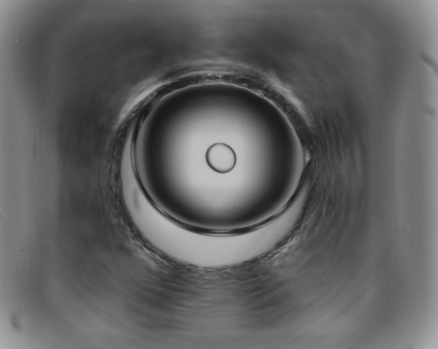 X0000096681352200802051236