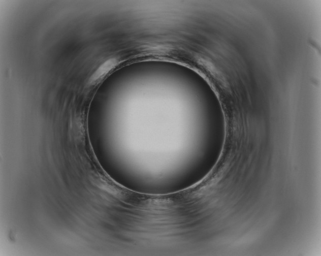 X0000096681354200802051236