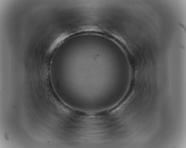 X0000096681359200802051236