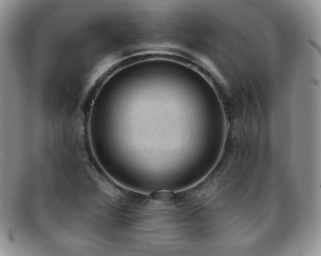 X0000096681360200802051236